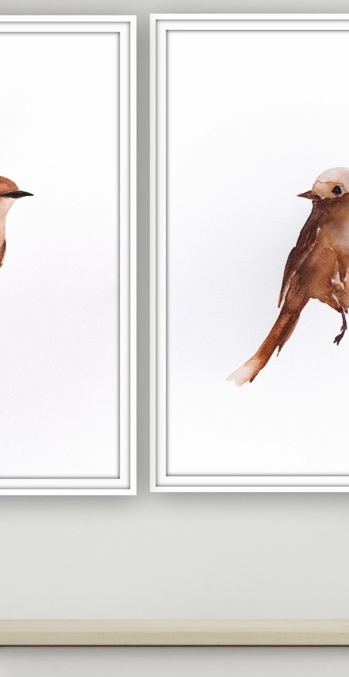 Birds by Nadia Moniatis