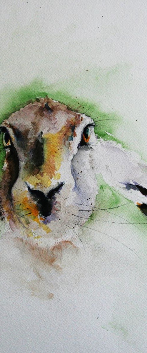 The Hare by Tomasz Mikutel
