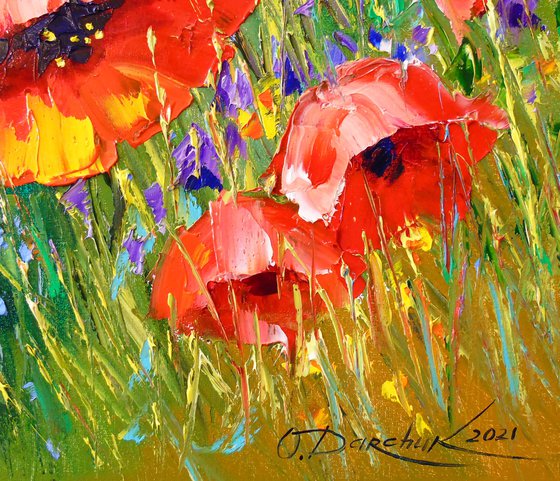 Poppies in bloom