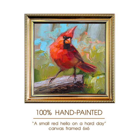 Cardinal bird