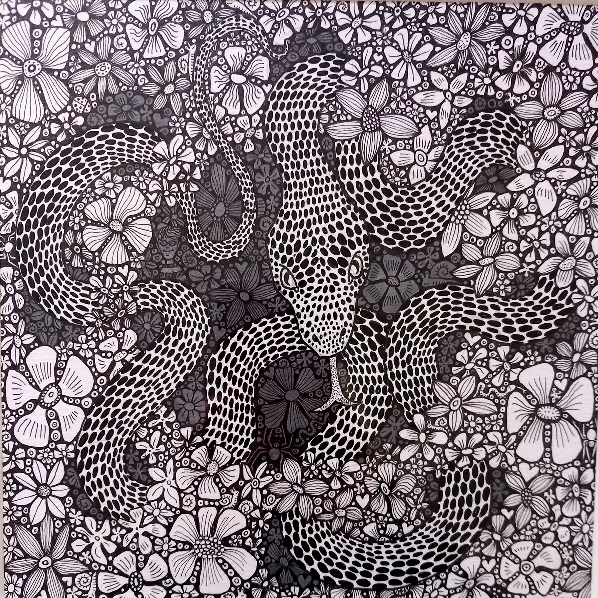 Animal Ink Drawing By Terri Smith, 12 X 12", Snake In The Garden, Original Artwork
