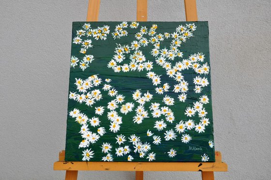 Daisies