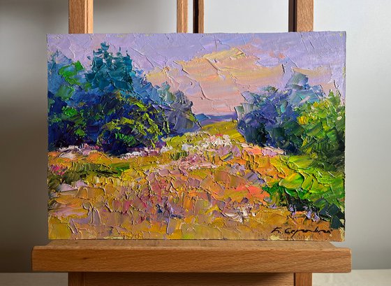 In a Summer Flower Meadow