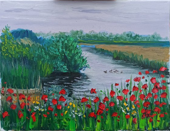 Red poppies by the water. Pleinair painting