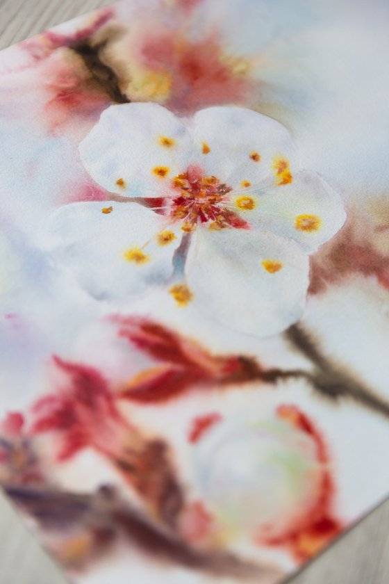 Blossom of the spring