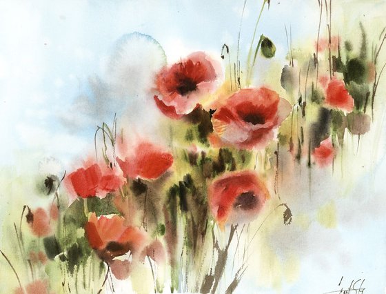 Poppy Flowers