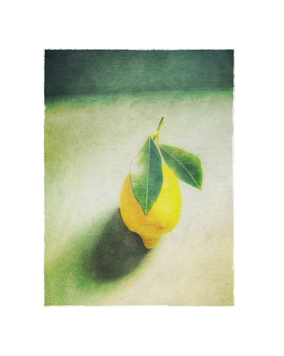 Expressive Botanical Photograph By Sarah Parsons, 12 X 15", Lemon With Leaves, Original Artwork