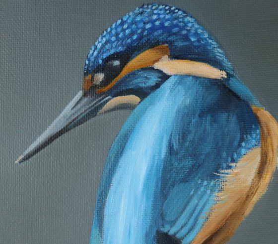 Kingfisher, Bird Artwork, Animal Art Framed