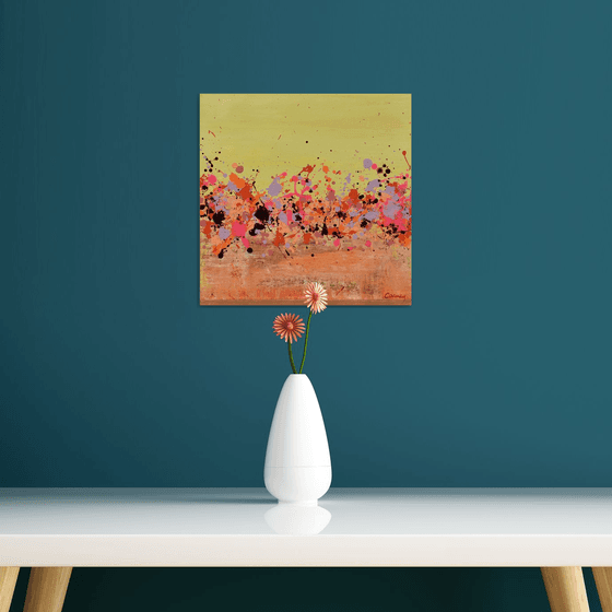 Sunkist Coral 2
