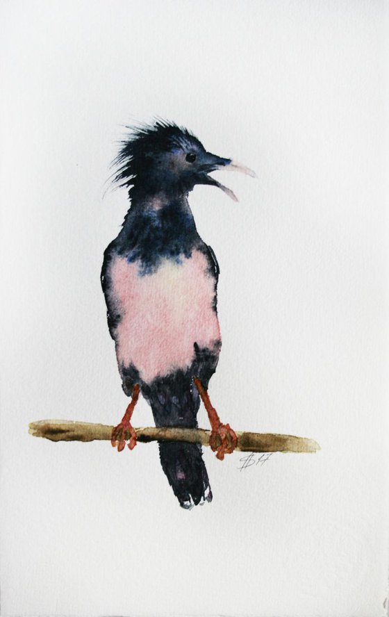 Bird 04 / Original Painting