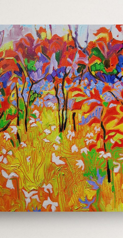 Colourful Spring, Norfolk Garden by Mary Kemp