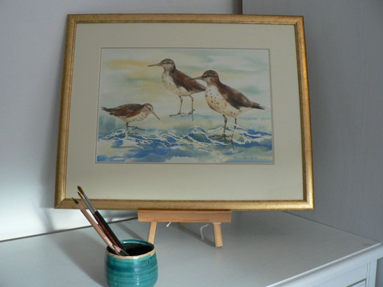 Sandpiper Shore - framed original watercolour