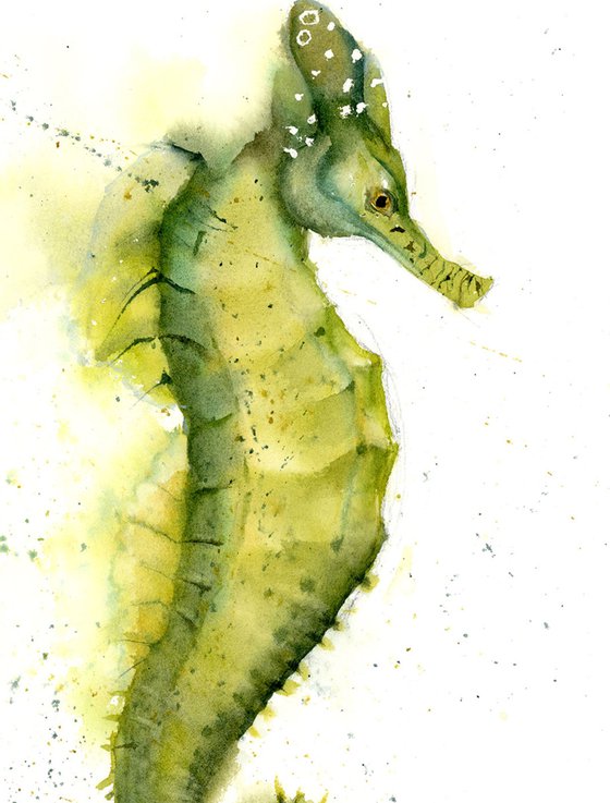 Yellow-Green Seahorse