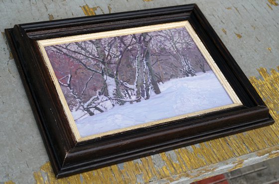 February. Alley in Tsaritsyno Park