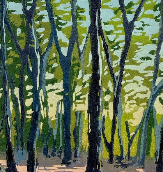 Soft Dusk, Highgate Wood