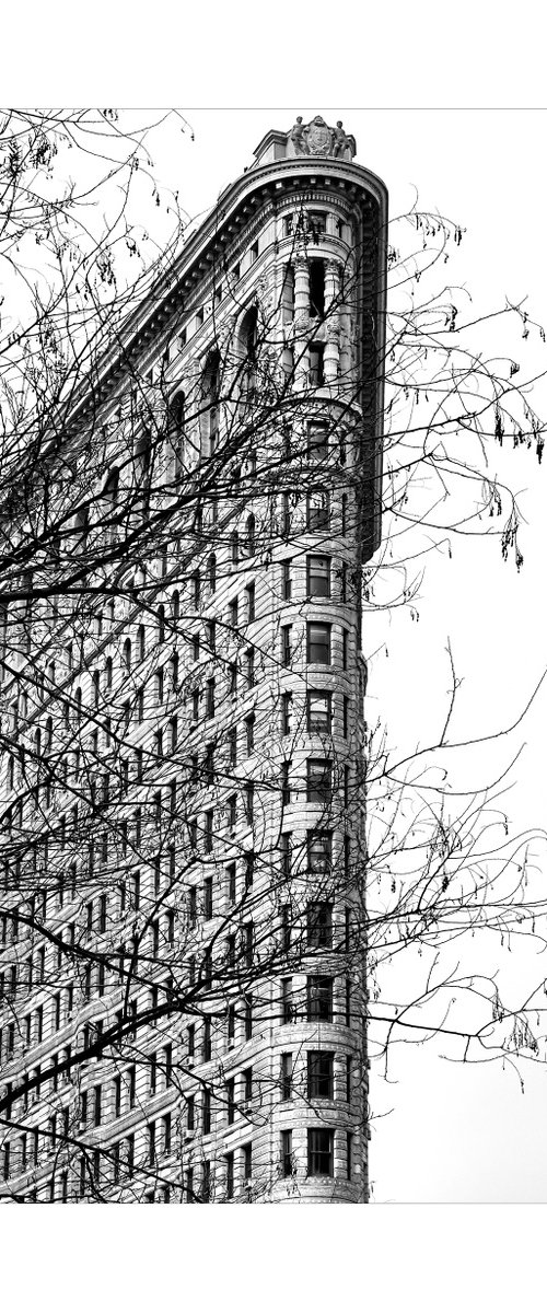 Flatiron Building - New York (Silver Gelatin Darkroom Print) by Stephen Hodgetts Photography