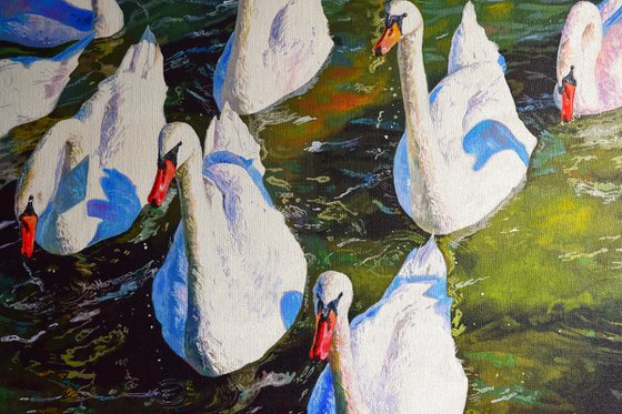Swanning About