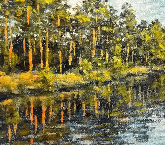 Pine trees by the river