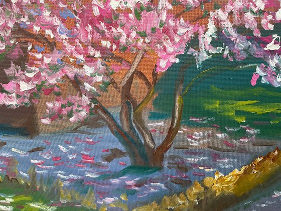 Blooming magnolia in Dalen