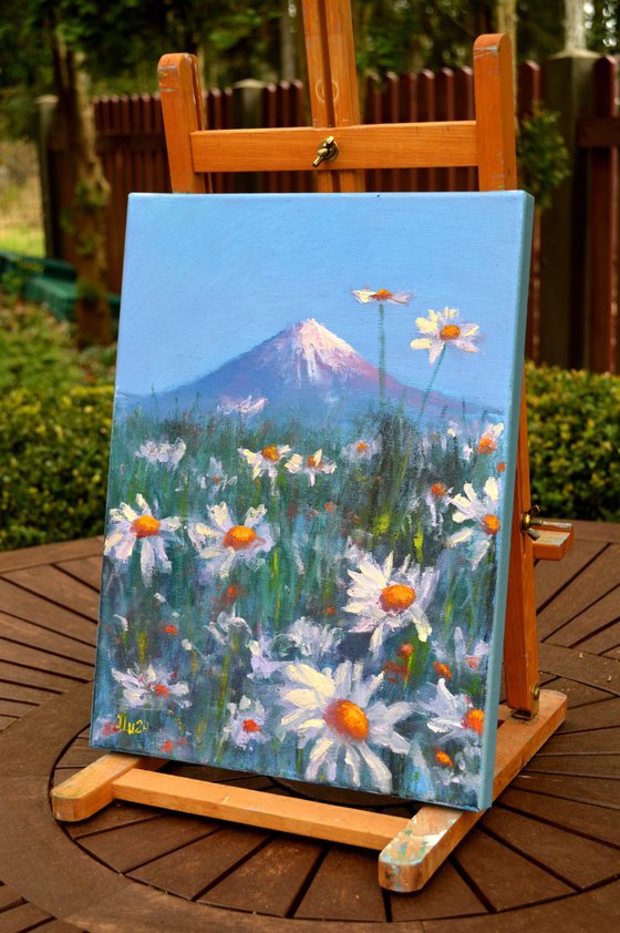 Japanese meadow daisies 40X30