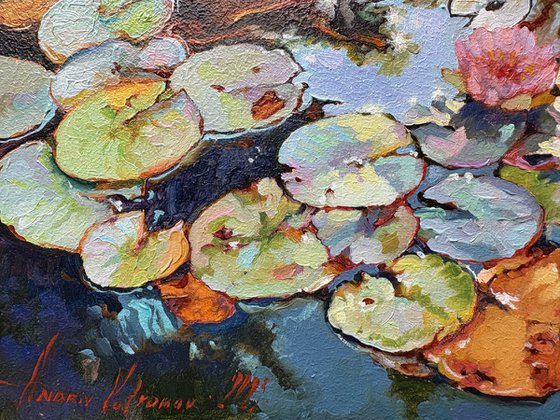 Autumn lilies.