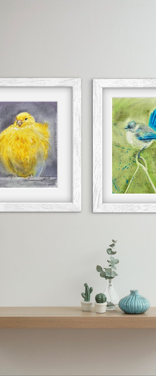 Birds: Canary and Fairywren by Alla Semenova