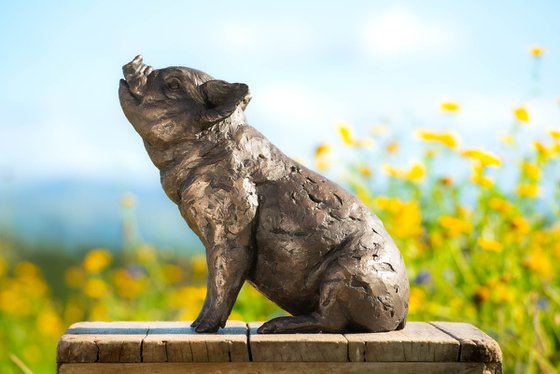 Sitting Piglet BR