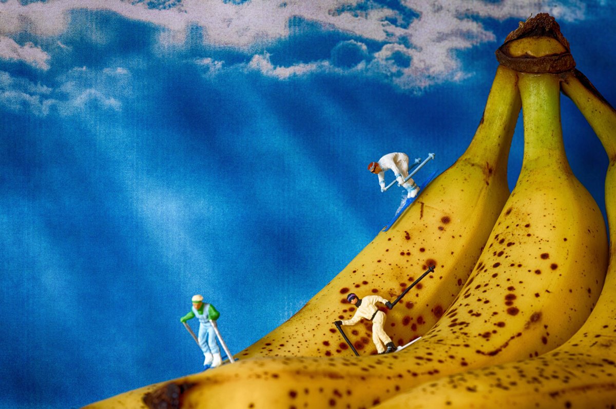 Organic Abstract Photograph By Marc Ehrenbold, 40 X 30", Banana Run, Original Artwork