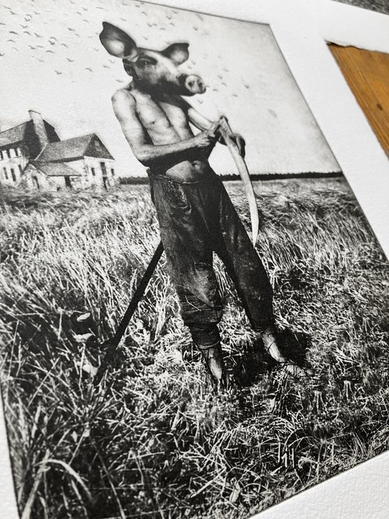 Pig Suite No.10: Wheat Whacker