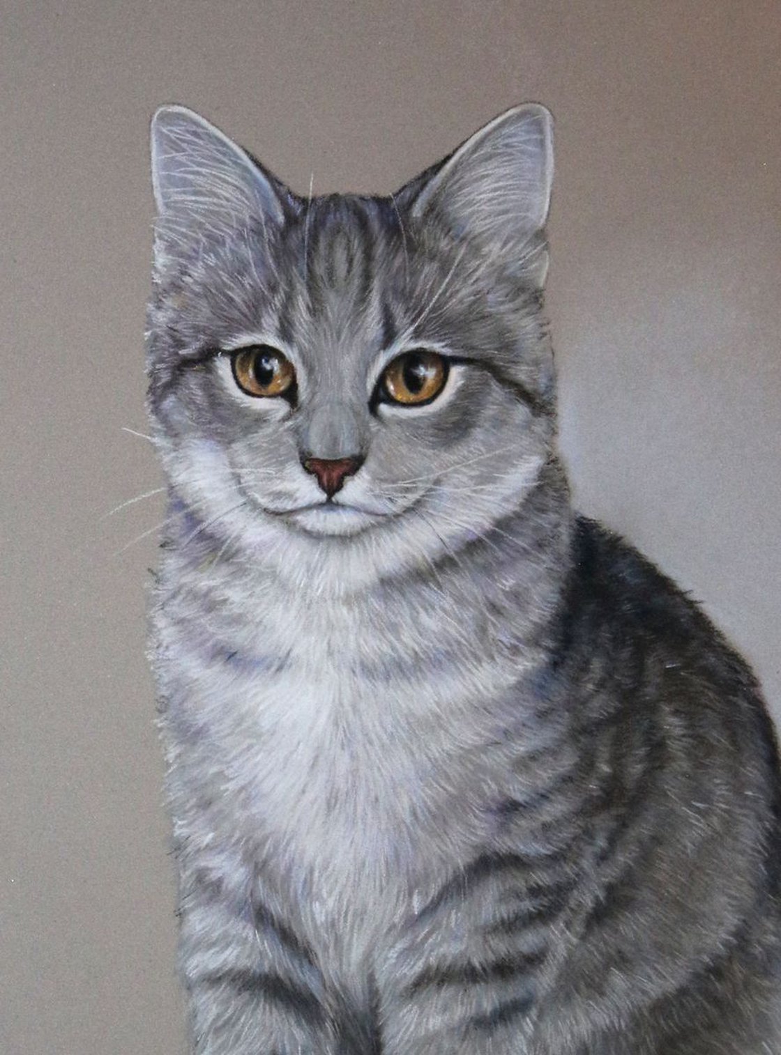 Comission pastel drawing of a cat Pastel drawing by Tatjana Bril ...