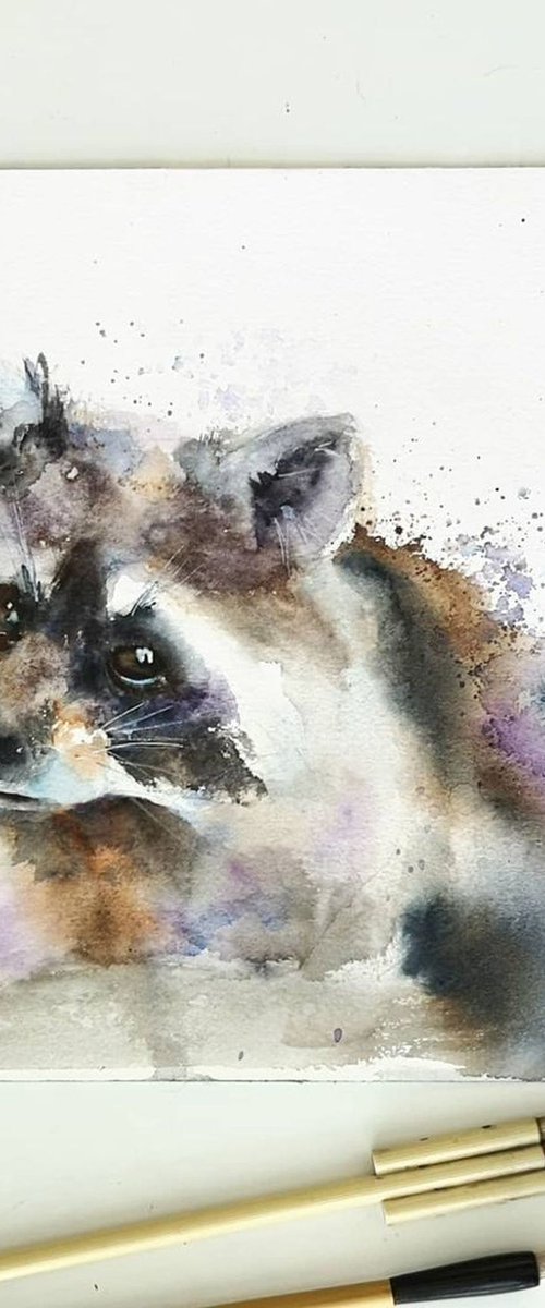 Raccoon portrait by Olga Tchefranov (Shefranov)