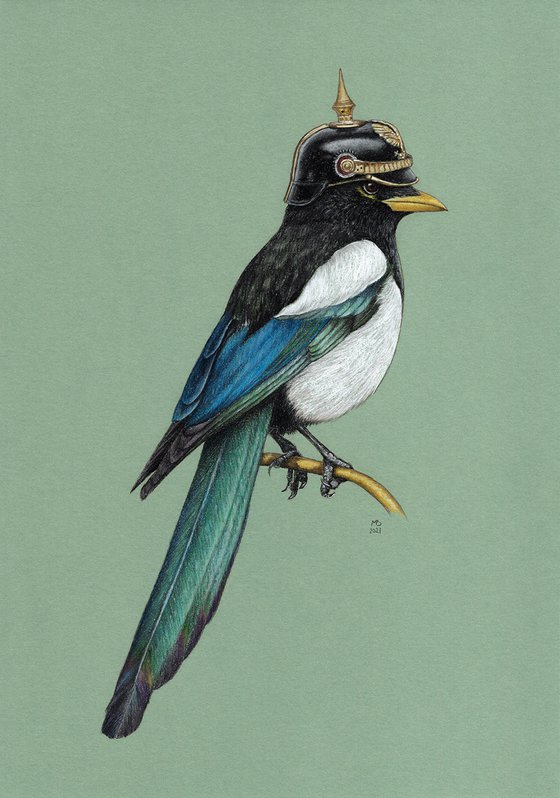 Original pastel drawing bird "Yellow-billed magpie"