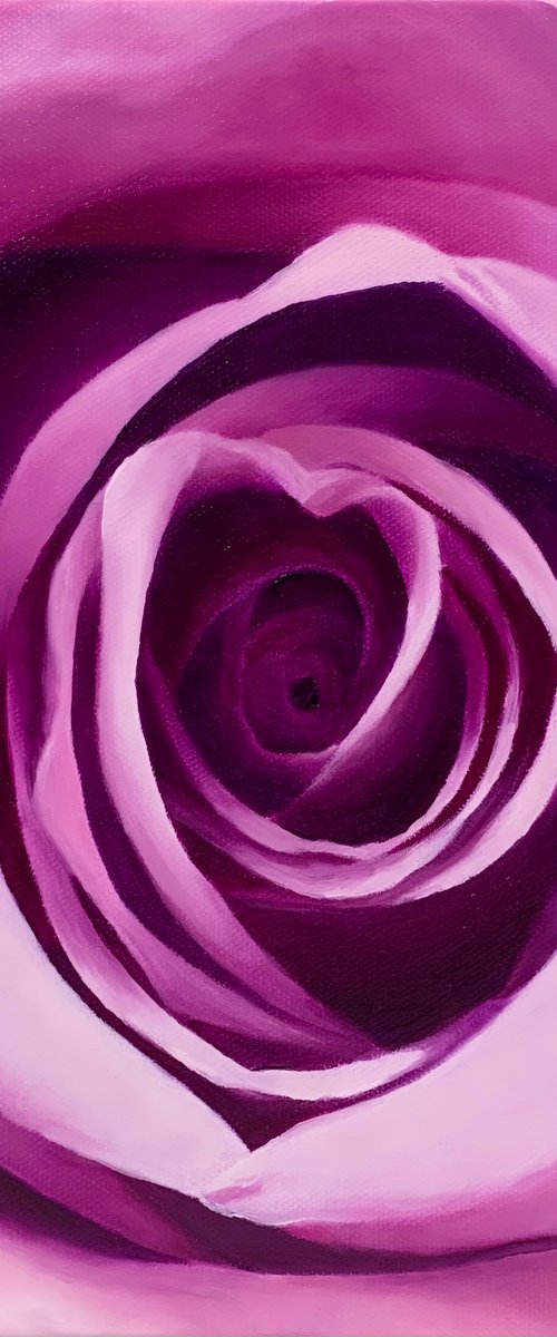 Love. Purple Rose by Alla Kallass
