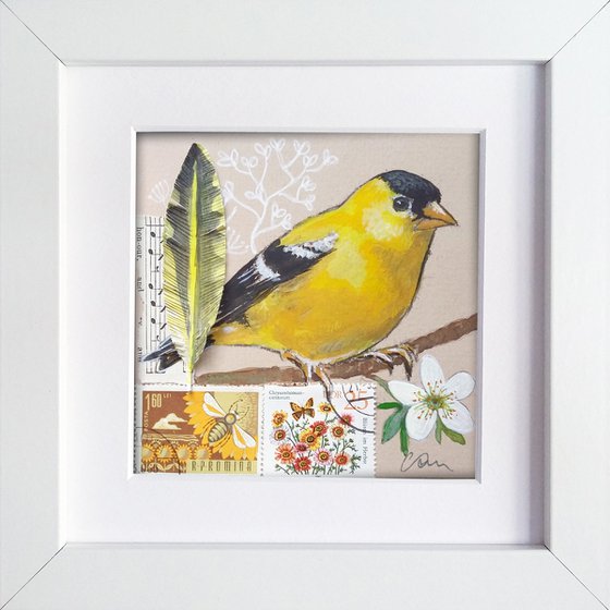 The American goldfinch feather  (framed and ready to hang)