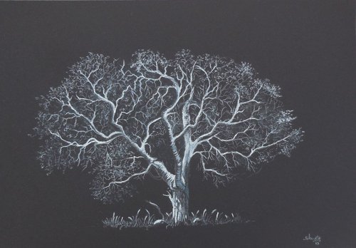 Oak Tree 3 by Shweta  Mahajan