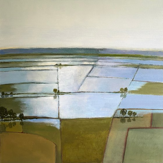 Wessex Marshes