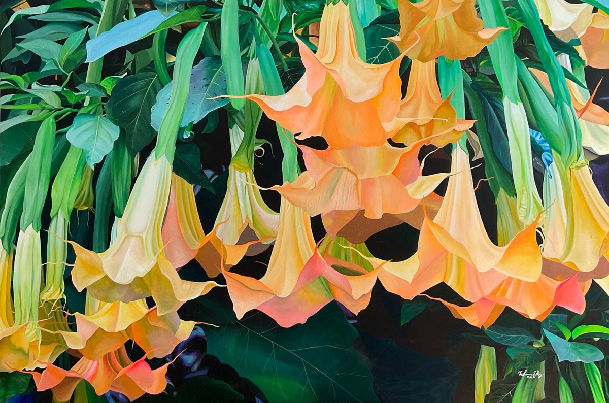 Brugmansia by Amani Muhammad