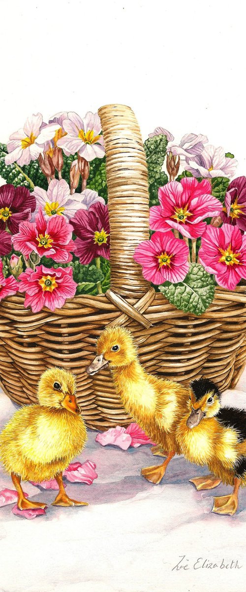 Ducklings and Primroses by Zoe Elizabeth Norman