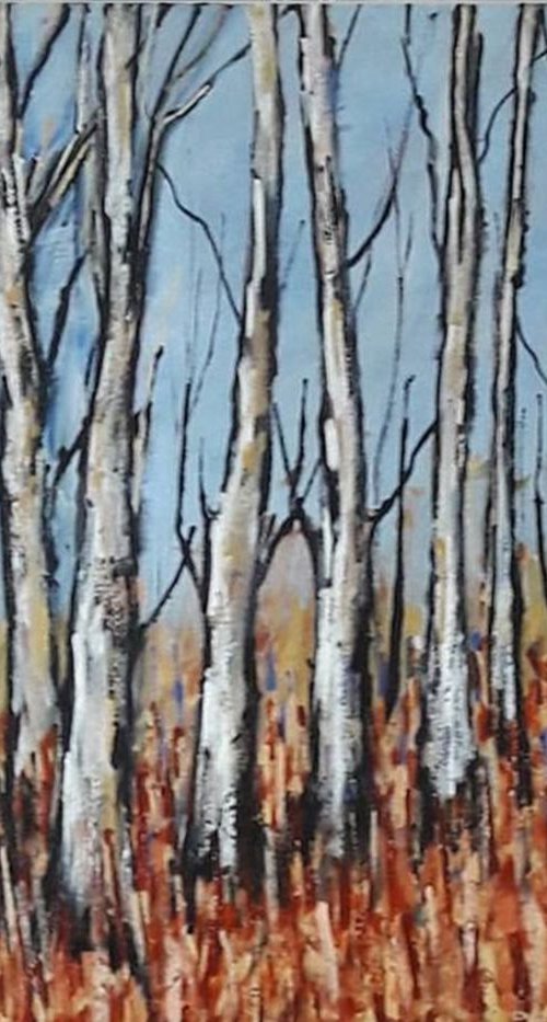 Birches by John Halliday