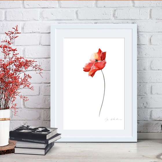 Red Poppies 1