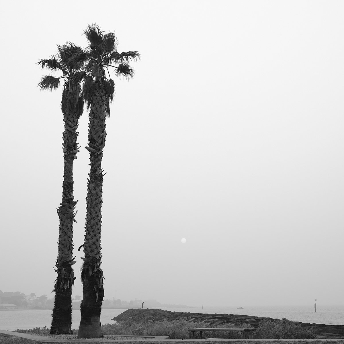 Photorealistic Landscape Photograph By Nick Psomiadis, 35 X 35", W707, Original Artwork