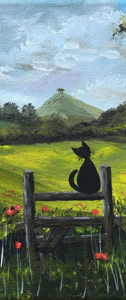The Cat and Comer Hill. by Marja Brown