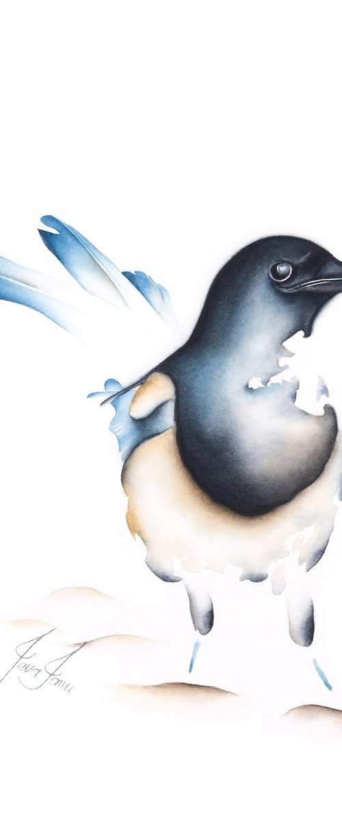 Magpie by ieva Janu