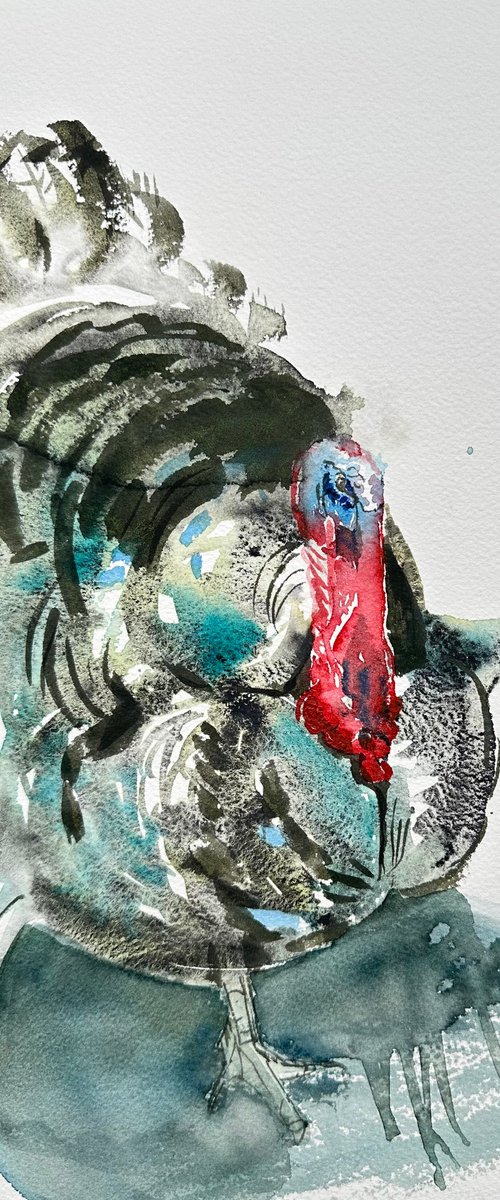 Turkey by Alla Semenova