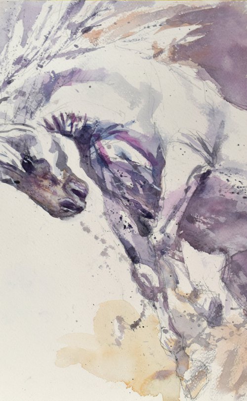 Horse in jump by Goran Žigolić Watercolors