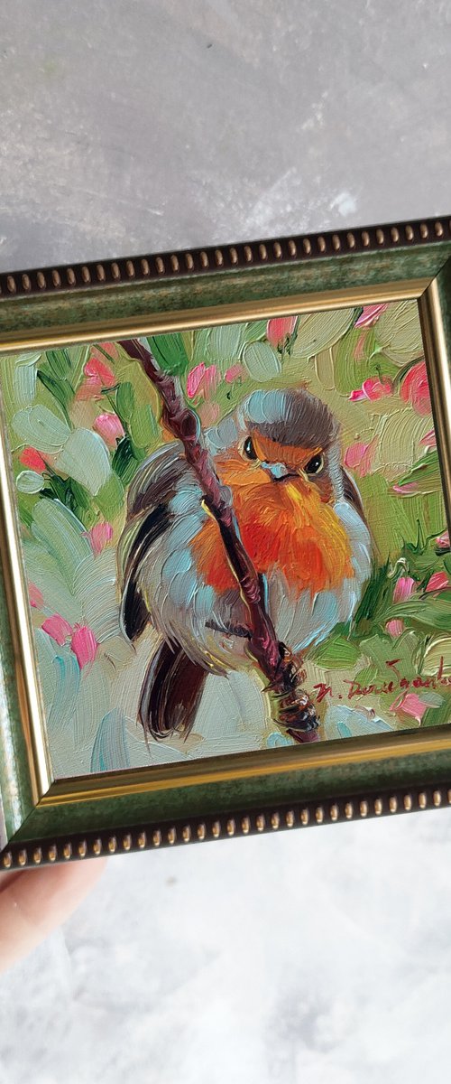 Robin bird on brunch by Nataly Derevyanko