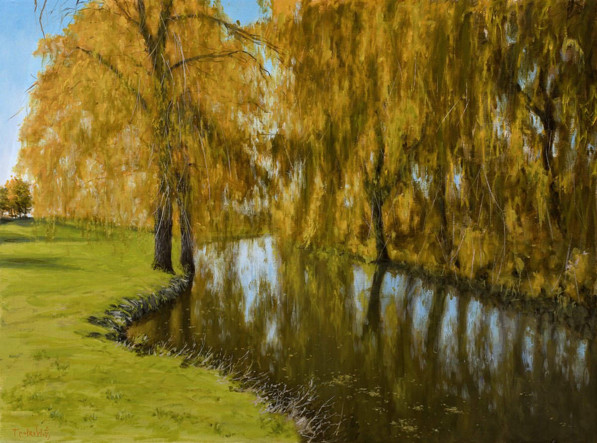 Willows by Dejan Trajkovic