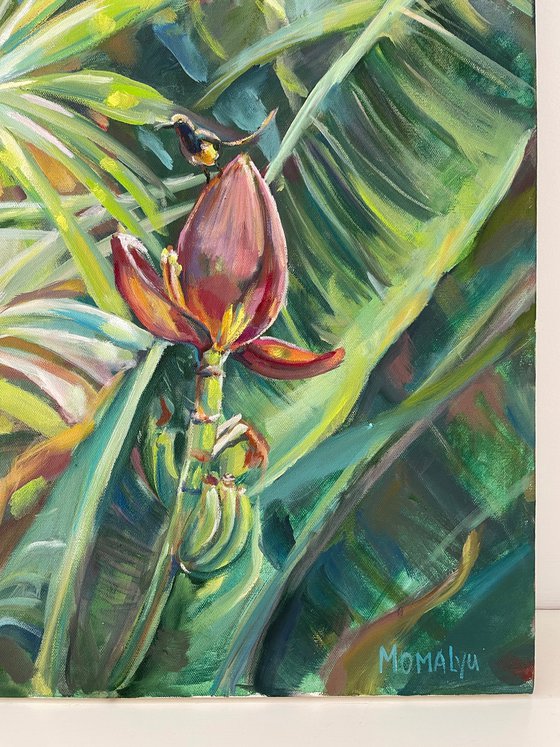 The Touch of Greenr. Tropical Plants