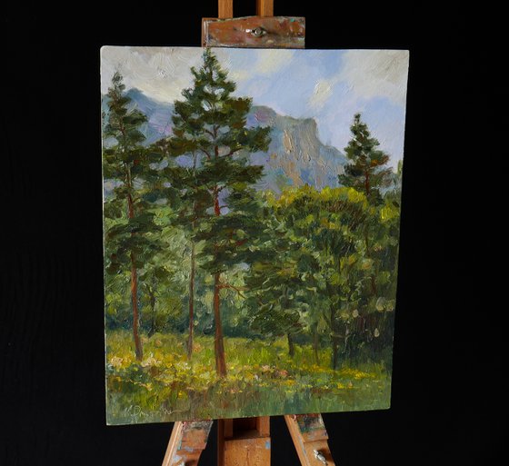 The evening in the mountains - mountains painting
