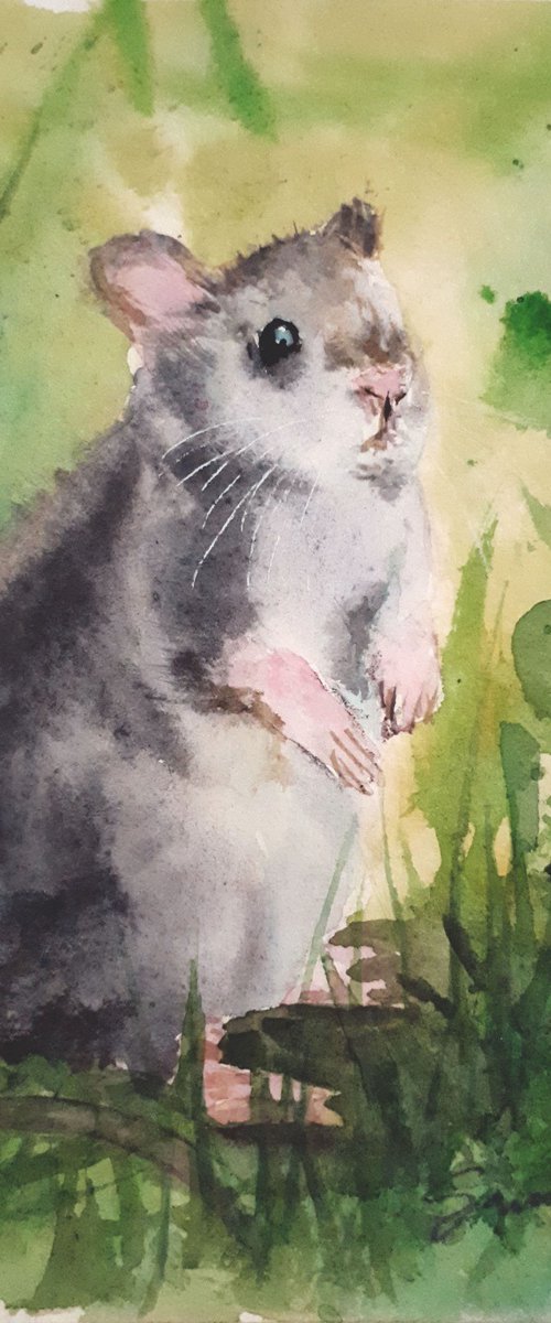 Mouse I... / FROM THE ANIMAL PORTRAITS SERIES / ORIGINAL WATERCOLOR PAINTING by Salana Art Gallery